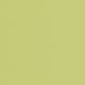 Bezug Atlantic 545 Yellow Green (Leder)